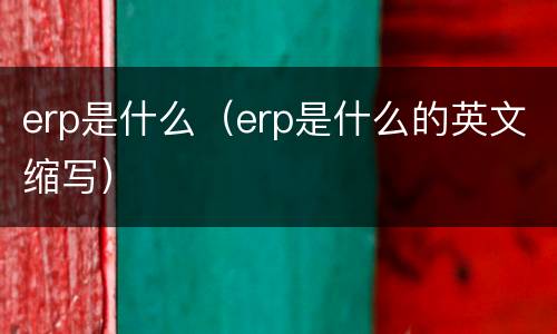 erp是什么（erp是什么的英文缩写）