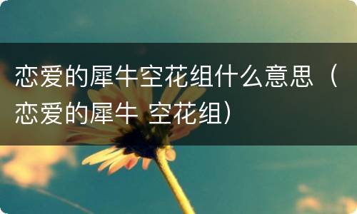 恋爱的犀牛空花组什么意思（恋爱的犀牛 空花组）