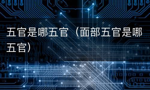 五官是哪五官（面部五官是哪五官）