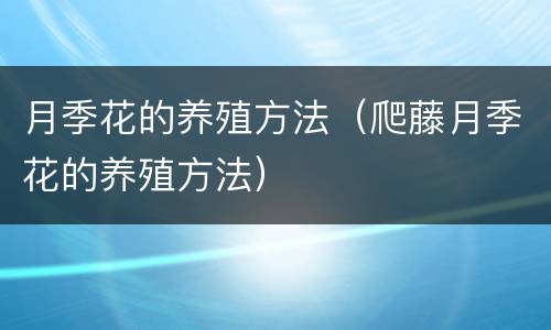 月季花的养殖方法（爬藤月季花的养殖方法）