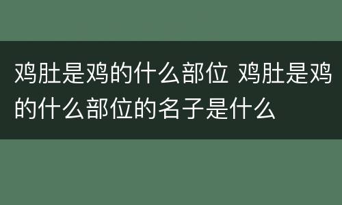 鸡肚是鸡的什么部位 鸡肚是鸡的什么部位的名子是什么