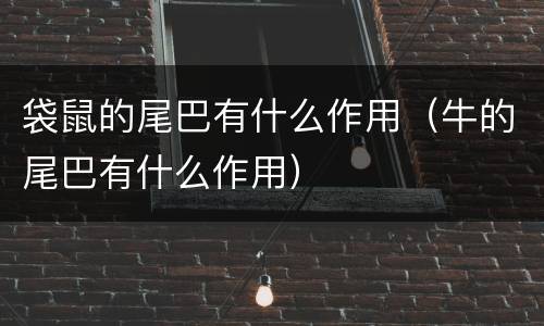 袋鼠的尾巴有什么作用（牛的尾巴有什么作用）