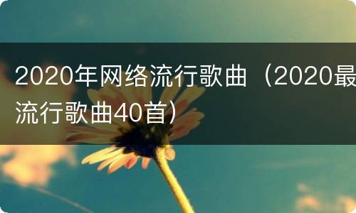 2020年网络流行歌曲（2020最流行歌曲40首）