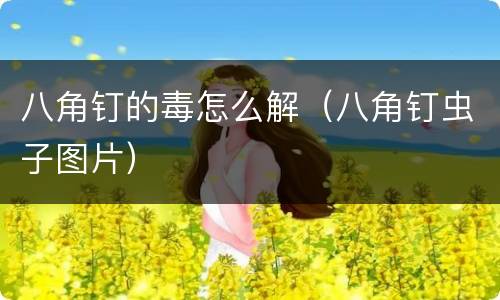 八角钉的毒怎么解（八角钉虫子图片）