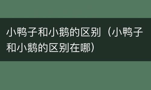 小鸭子和小鹅的区别（小鸭子和小鹅的区别在哪）