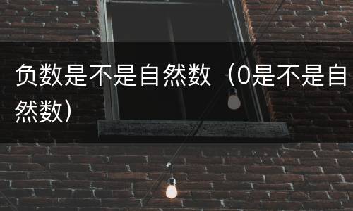负数是不是自然数（0是不是自然数）