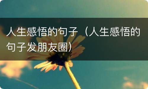 人生感悟的句子（人生感悟的句子发朋友圈）