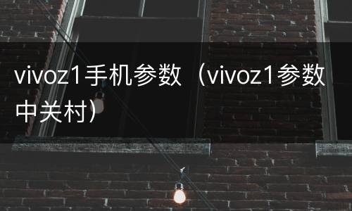 vivoz1手机参数（vivoz1参数中关村）