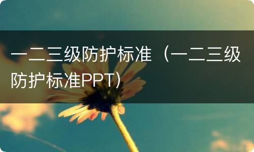 一二三级防护标准（一二三级防护标准PPT）