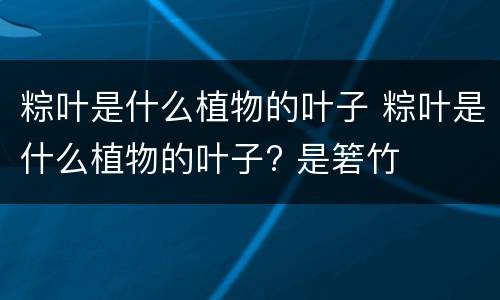 粽叶是什么植物的叶子 粽叶是什么植物的叶子? 是箬竹