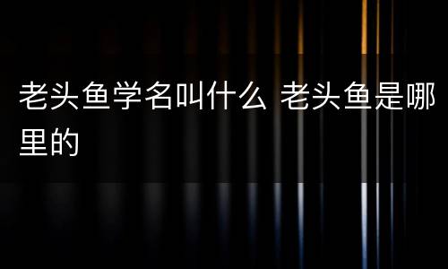 老头鱼学名叫什么 老头鱼是哪里的