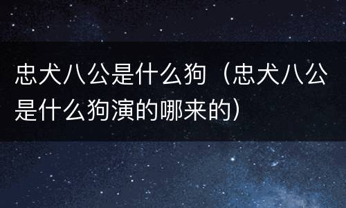 忠犬八公是什么狗（忠犬八公是什么狗演的哪来的）