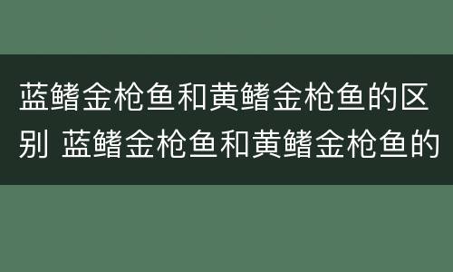 蓝鳍金枪鱼和黄鳍金枪鱼的区别 蓝鳍金枪鱼和黄鳍金枪鱼的区别两者价格