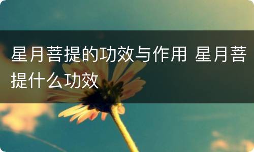 星月菩提的功效与作用 星月菩提什么功效