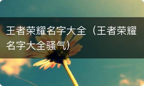 王者荣耀名字大全（王者荣耀名字大全骚气）