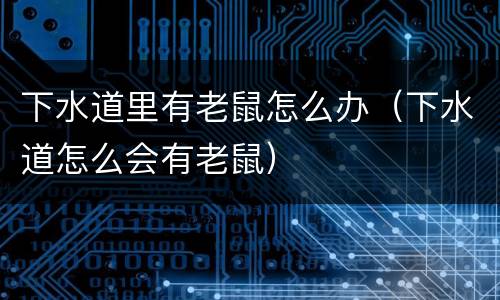 下水道里有老鼠怎么办（下水道怎么会有老鼠）