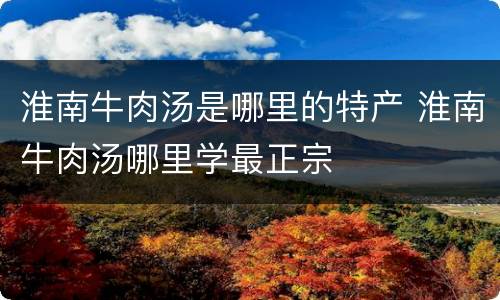 淮南牛肉汤是哪里的特产 淮南牛肉汤哪里学最正宗
