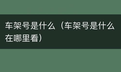 车架号是什么（车架号是什么在哪里看）