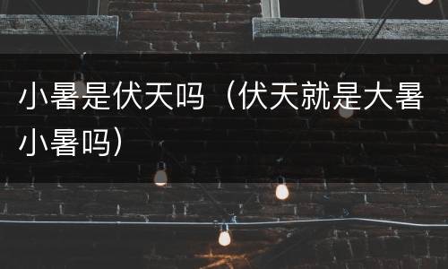 小暑是伏天吗（伏天就是大暑小暑吗）