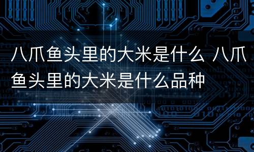 八爪鱼头里的大米是什么 八爪鱼头里的大米是什么品种
