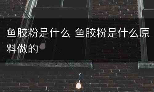 鱼胶粉是什么 鱼胶粉是什么原料做的
