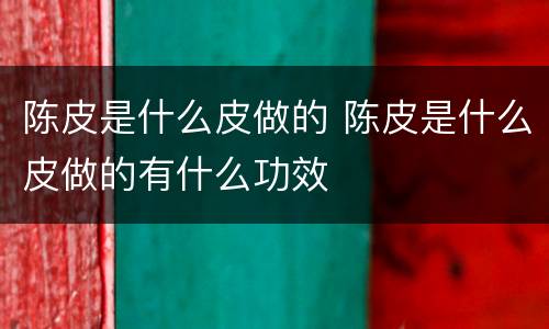 陈皮是什么皮做的 陈皮是什么皮做的有什么功效