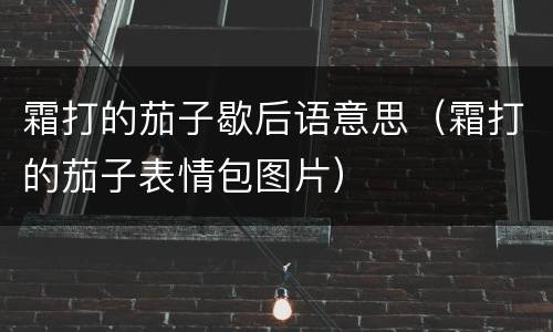 霜打的茄子歇后语意思（霜打的茄子表情包图片）