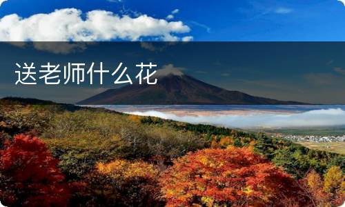 送老师什么花