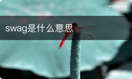 swag是什么意思