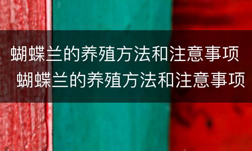 蝴蝶兰的养殖方法和注意事项 蝴蝶兰的养殖方法和注意事项一年开几次花