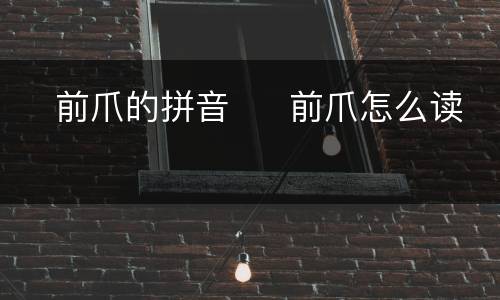 ​前爪的拼音  ​前爪怎么读