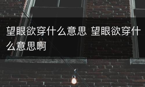 望眼欲穿什么意思 望眼欲穿什么意思啊
