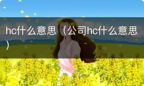 hc什么意思（公司hc什么意思）