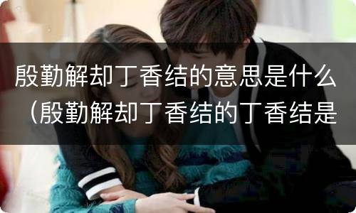 殷勤解却丁香结的意思是什么（殷勤解却丁香结的丁香结是什么意思）