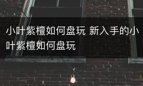 小叶紫檀如何盘玩 新入手的小叶紫檀如何盘玩