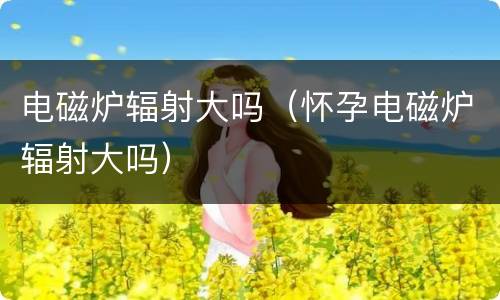 电磁炉辐射大吗（怀孕电磁炉辐射大吗）