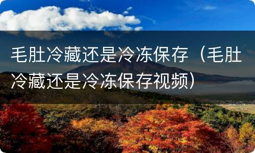 毛肚冷藏还是冷冻保存（毛肚冷藏还是冷冻保存视频）