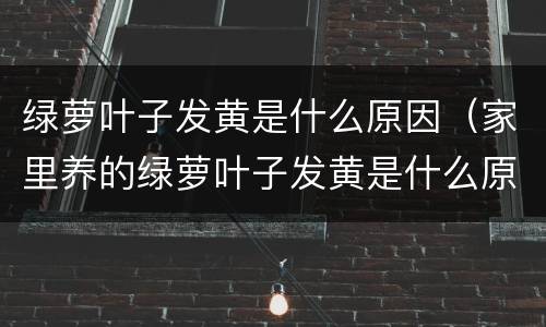 绿萝叶子发黄是什么原因（家里养的绿萝叶子发黄是什么原因）