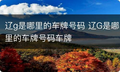辽g是哪里的车牌号码 辽G是哪里的车牌号码车牌