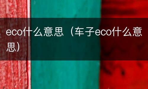 eco什么意思（车子eco什么意思）