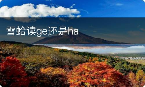 雪蛤读ge还是ha