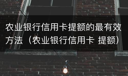 农业银行信用卡提额的最有效方法（农业银行信用卡 提额）