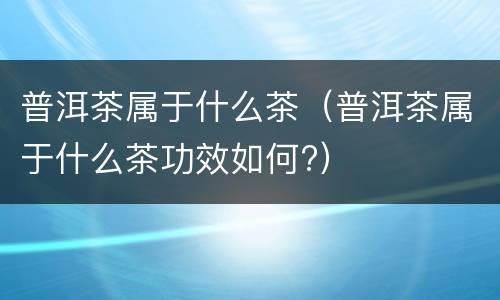 普洱茶属于什么茶（普洱茶属于什么茶功效如何?）