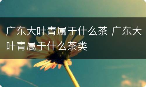 广东大叶青属于什么茶 广东大叶青属于什么茶类