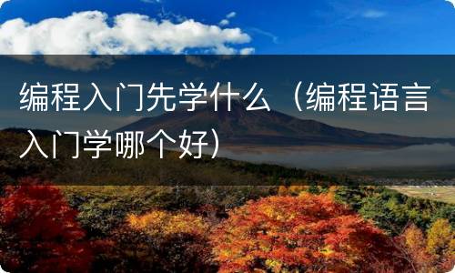 编程入门先学什么（编程语言入门学哪个好）