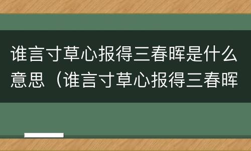 谁言寸草心报得三春晖是什么意思（谁言寸草心报得三春晖是什么意思?）