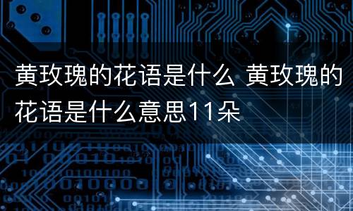 黄玫瑰的花语是什么 黄玫瑰的花语是什么意思11朵