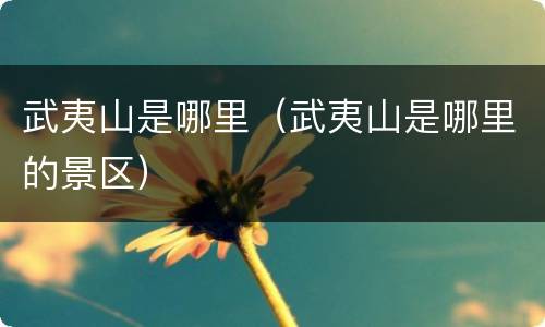 武夷山是哪里（武夷山是哪里的景区）