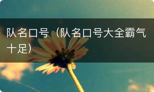 队名口号（队名口号大全霸气十足）