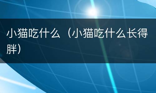 小猫吃什么（小猫吃什么长得胖）